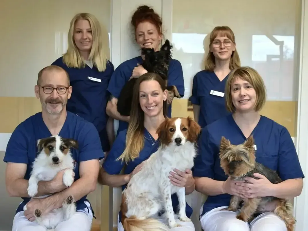 Gruppfoto av sex personer i blå arbetskläder med fyra hundar